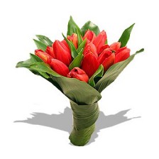 Bouquet de Tulipas Vermelhas