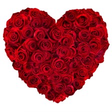 Coração de Rosas Vermelhas
