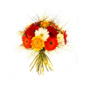 Bouquet Colorido