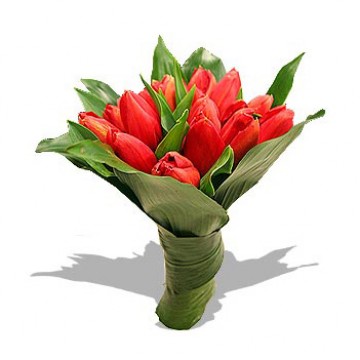 Bouquet de Tulipas Vermelhas