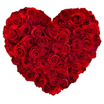Coração de Rosas Vermelhas